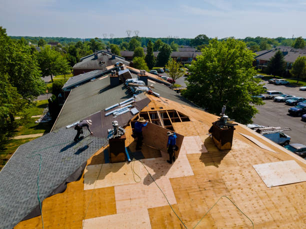 Trusted Flat Roof Repair service in Seven Springs, NC - Brentwood Metal Roofing